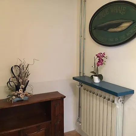 Casa Solva * アラッシオ